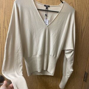 Express Beige V-Neck Sweater